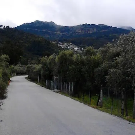 Πανσιόν Despina Σκάλα Σωτήρος