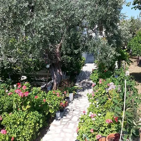 Πανσιόν Despina Σκάλα Σωτήρος