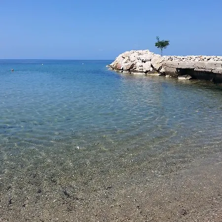 Despina Σκάλα Σωτήρος