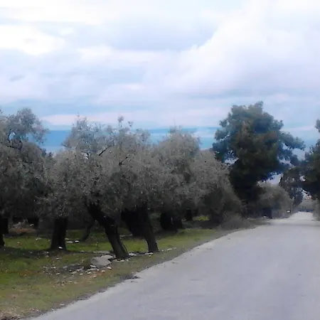Πανσιόν Despina